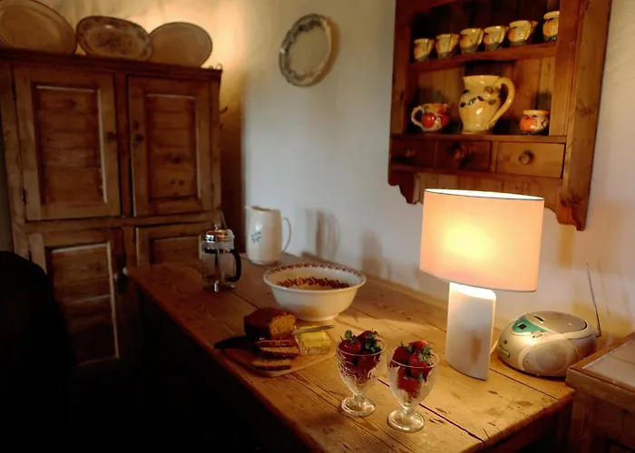 The Spinner's * ドネゴール