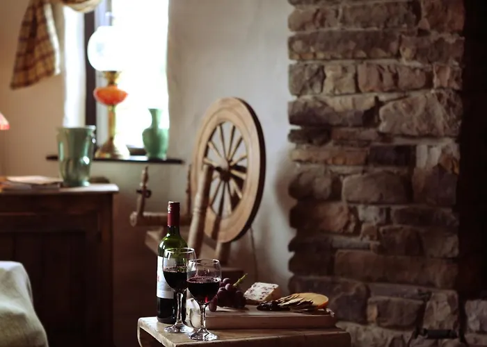 The Spinner's 別荘 ドネゴール