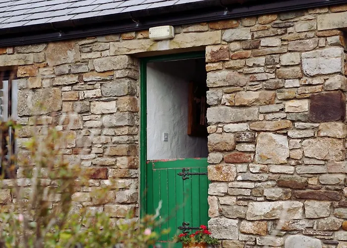 The Spinner's * ドネゴール